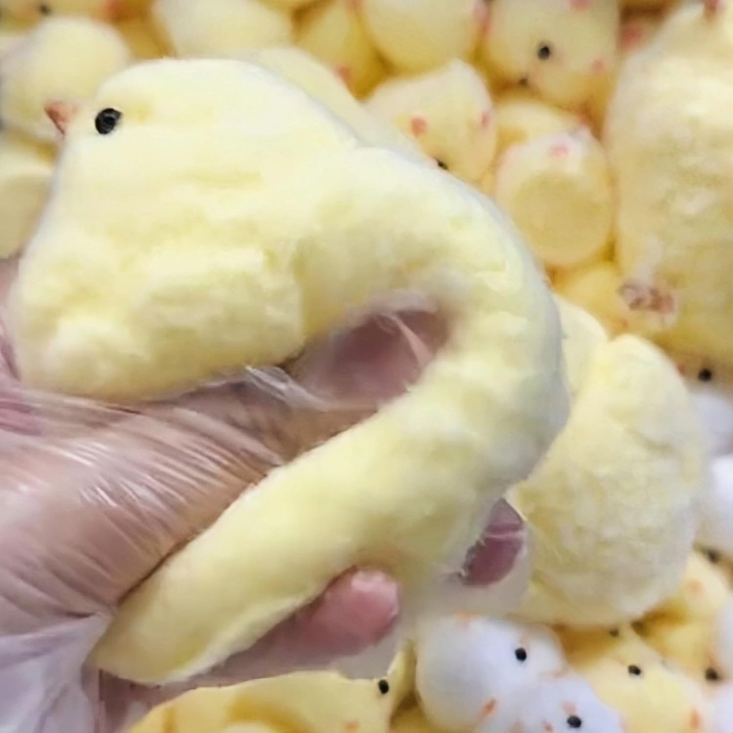 Ultra Soft Silicone Chick Squeeze Toy - Handmade Fidget Stress Relief Squishy (1 Piece)